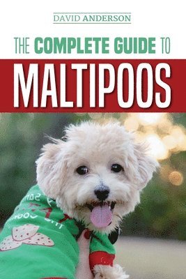 The Complete Guide to Maltipoos 1