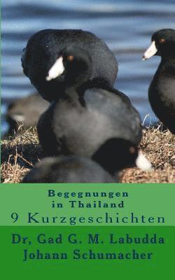 bokomslag Begegnungen in Thailand: 9 Kurzgeschichten