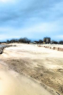 David Alvin Casper - six months in 2018, Häftad