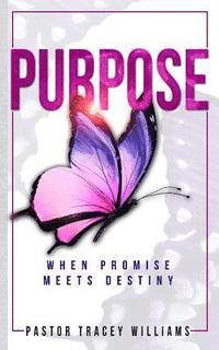 bokomslag Purpose: When Promise meets Destiny