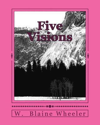 bokomslag Five Visions