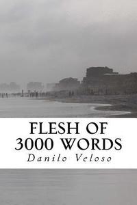 bokomslag Flesh of 3000 Words