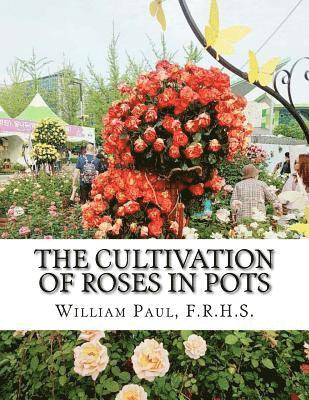 bokomslag The Cultivation of Roses in Pots: Or; Growing Roses in Containers