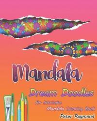 bokomslag Dream Doodles Coloring Book: An Intricate Mandala Coloring Book