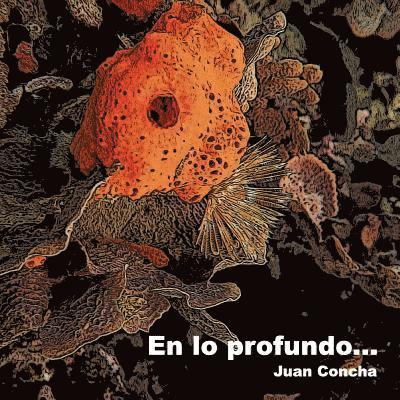 Juan E. Concha - En lo profundo, Häftad