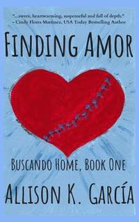 bokomslag Finding Amor