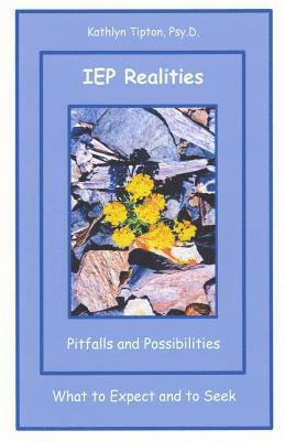 IEP Realities: Pitfalls and Possibilities: What to Expect and to Seek 1