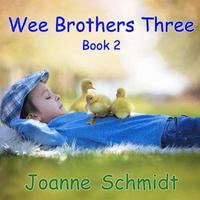 bokomslag Wee Brothers Three Book 2