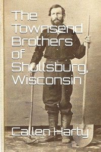 bokomslag The Townsend Brothers of Shullsburg, Wisconsin