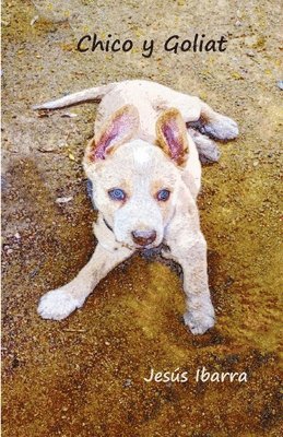 J. Jesús Ibarra - Chico y Goliat, Häftad