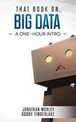 That Book on Big Data: A One-Hour Intro 1