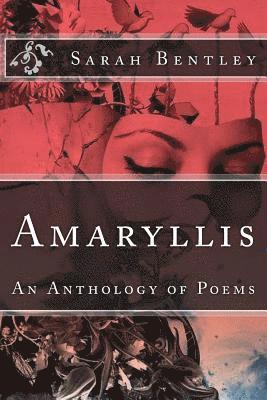 Amaryllis 1