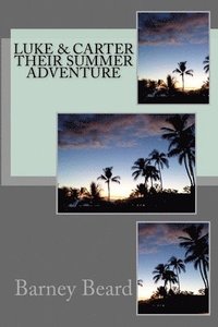 bokomslag Luke & Carter: Their Summer Adventure