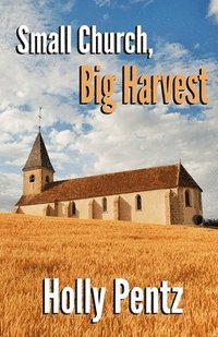 bokomslag Small Church, Big Harvest: The impact of the rural church on the world