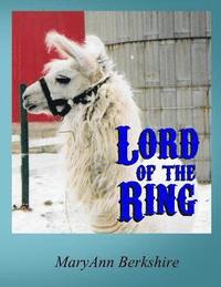 bokomslag Lord of the Ring
