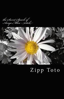 Zipp Toto - The Secret Spark of Asrya Mun: Witch, Häftad