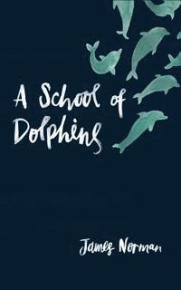 bokomslag A School of Dolphins