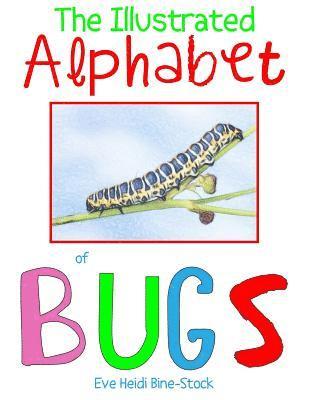 The Illustrated Alphabet of Bugs 1