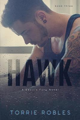bokomslag Hawk: Devil's Fury Book 3