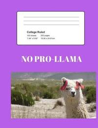 bokomslag No Pro-LLAMA