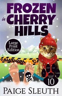 bokomslag Frozen in Cherry Hills