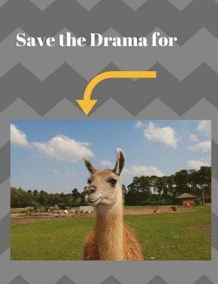 Pen It Journals - Save the Drama for, Häftad