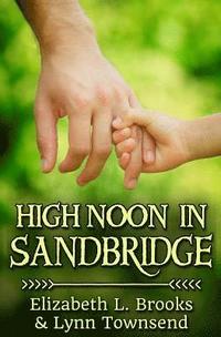 bokomslag High Noon in Sandbridge