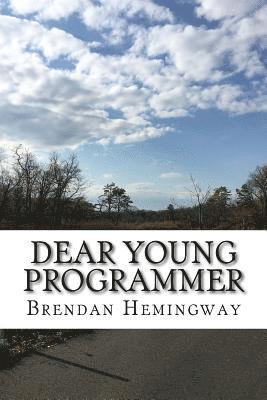 Brendan Hemingway - Dear Young Programmer: Things I Wish You Knew, Häftad