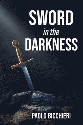 bokomslag Sword in the Darkness