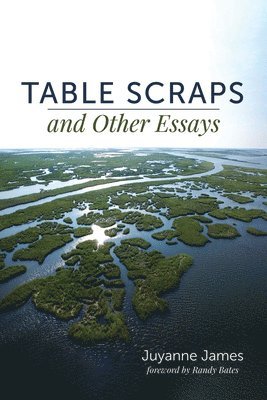 bokomslag Table Scraps and Other Essays