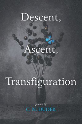Descent, Ascent, Transfiguration 1