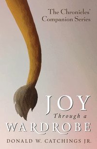 bokomslag Joy Through a Wardrobe
