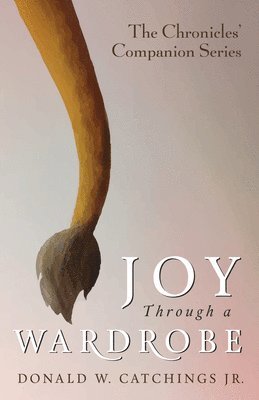 bokomslag Joy Through a Wardrobe