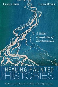bokomslag Healing Haunted Histories