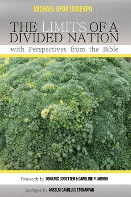 bokomslag Limits of a Divided Nation with Perspectives from the Bible