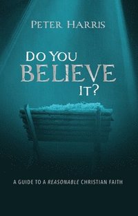bokomslag Do You Believe It?