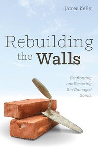 bokomslag Rebuilding the Walls