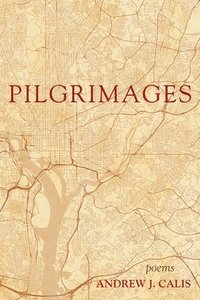 bokomslag Pilgrimages