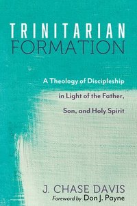 bokomslag Trinitarian Formation