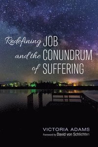 bokomslag Redefining Job and the Conundrum of Suffering