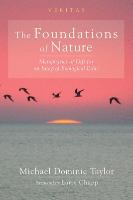 Taylor M D, Michael Dominic Taylor - Foundations of Nature, Inbunden