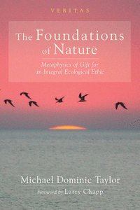 bokomslag The Foundations of Nature