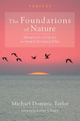 Taylor M D, Michael Dominic Taylor - Foundations of Nature, Inbunden