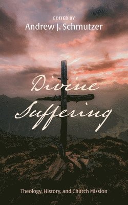 Andrew J Schmutzer - Divine Suffering, Inbunden
