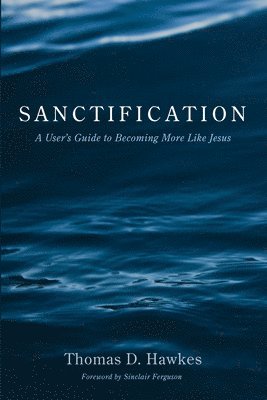 Thomas D Hawkes, Thomas D. Hawkes - Sanctification, Inbunden