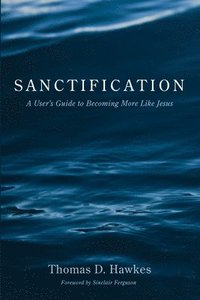 bokomslag Sanctification