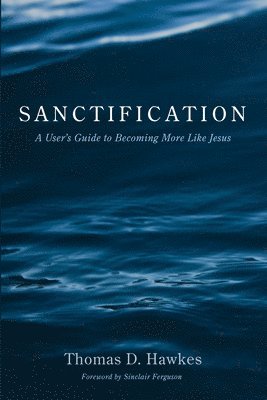 bokomslag Sanctification