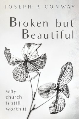bokomslag Broken But Beautiful
