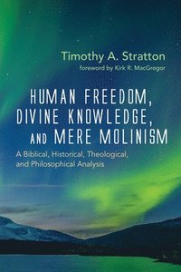 bokomslag Human Freedom, Divine Knowledge, and Mere Molinism
