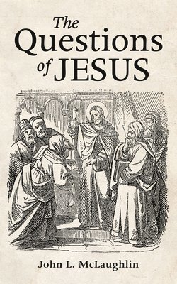 bokomslag The Questions of Jesus